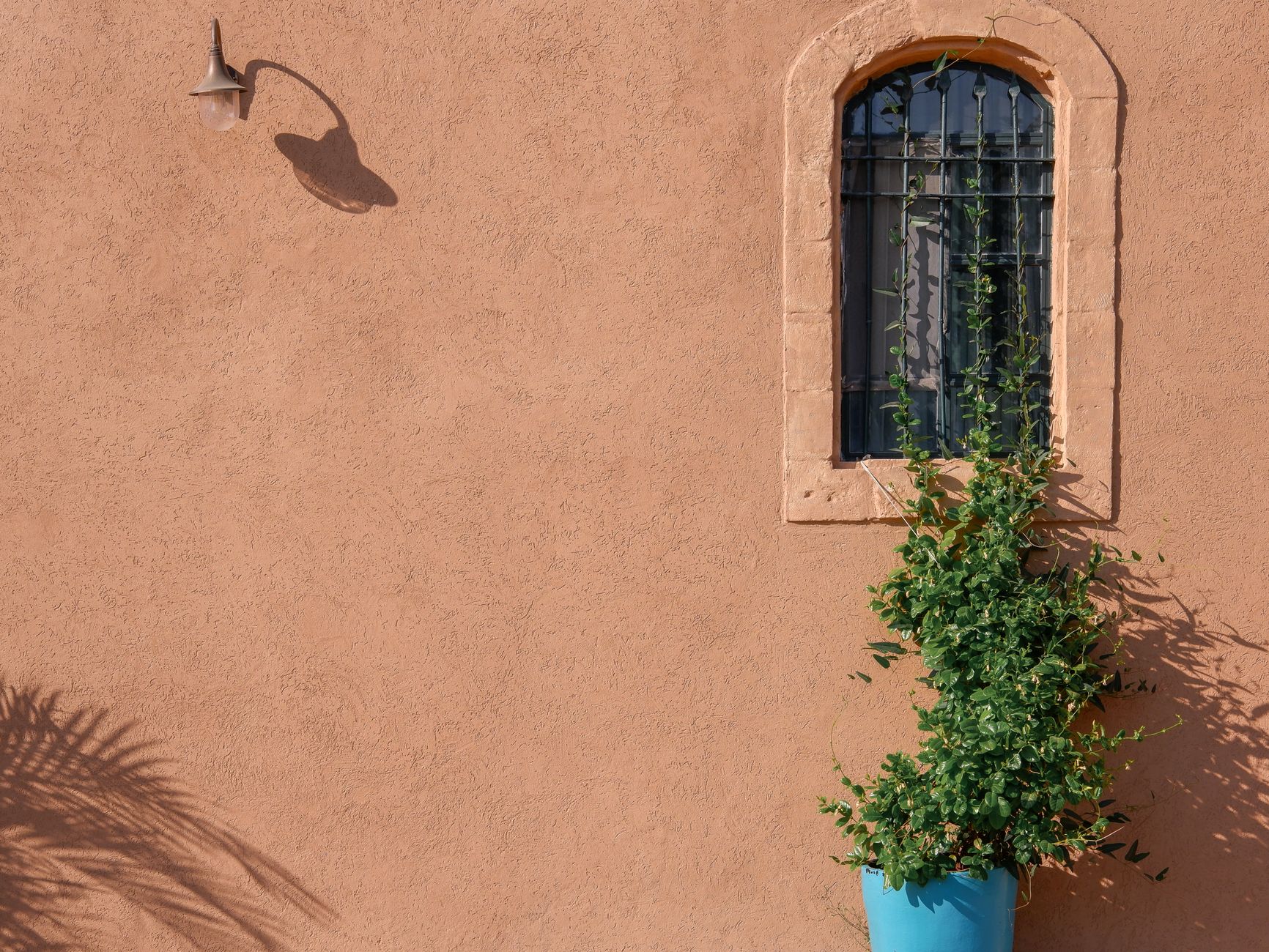 A rustic exterior wall featuring an arched window, wall lamp, and potted plant